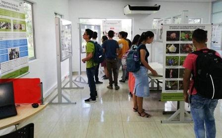 Exposición Colecciones biológicas de la Orinoquia