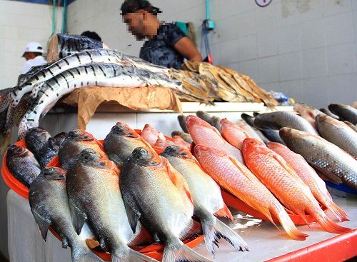 Colombia cuenta con 30 mil toneladas de pescado para la Semana Santa – El  Diario del Llano