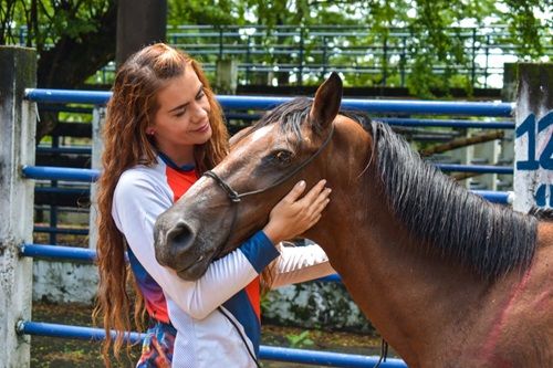 25 horses taken out of animal-drawn autos got for adoption in Yopal – information