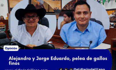 DIPUTADOS GALLOS