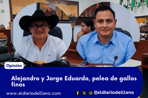 DIPUTADOS GALLOS