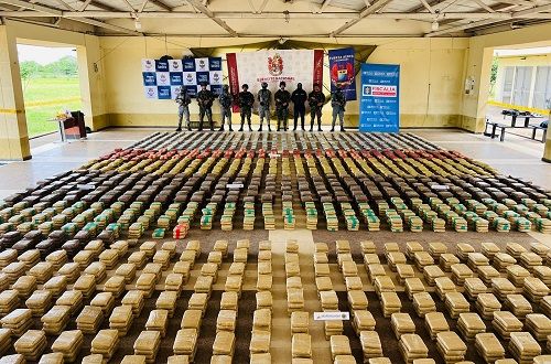 MARIHUANA EN CASANARE
