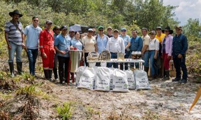 Pagos por Servicios Ambientales