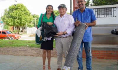 Patios productivos agricultura 4
