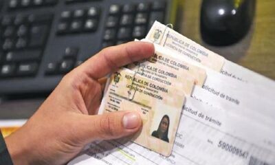 renovar licencia