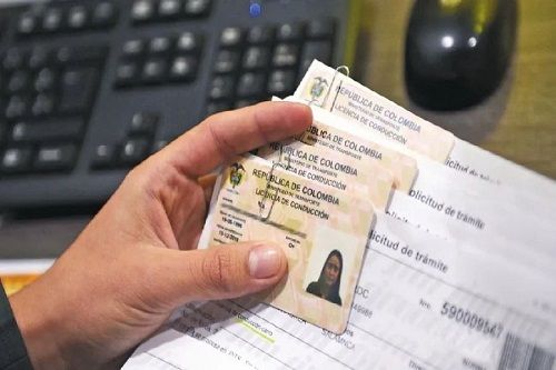 renovar licencia