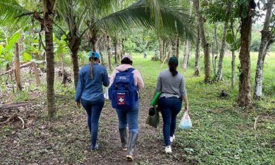 APS Red Salud Casanare