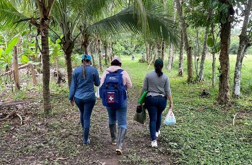 APS Red Salud Casanare