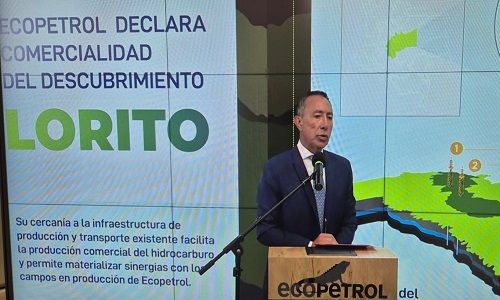 COMERCIALIDAD LORITO