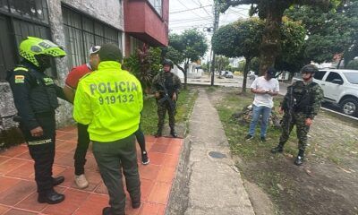 captura garza volando