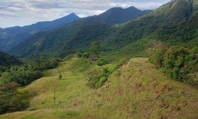 finca acacías