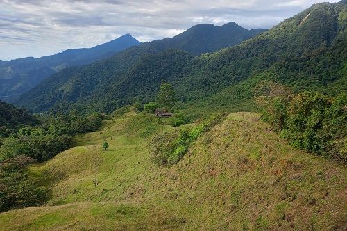 finca acacías