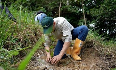 reforestación-en-predio-de-ecopetrol